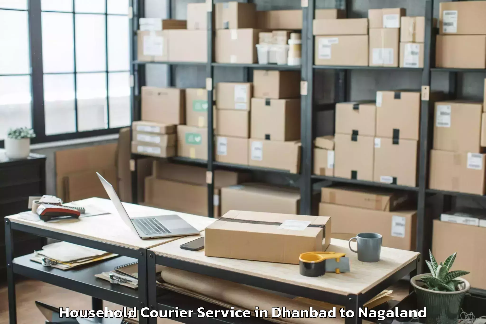 Easy Dhanbad to Kuhoboto Household Courier Booking